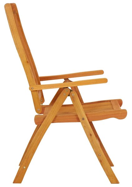Skládací židle 2 ks, masivní dřevo, eukalyptus 316069
