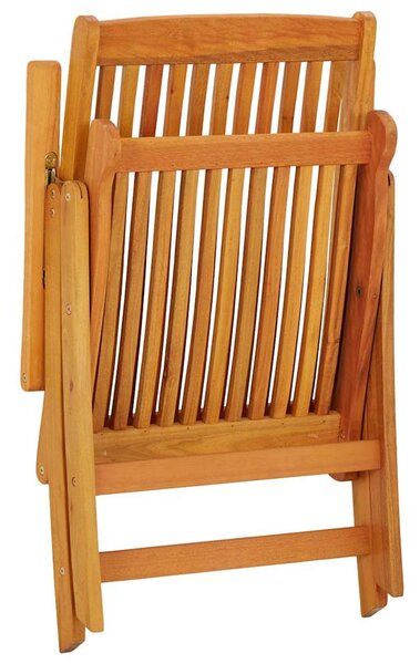 Skládací židle 2 ks, masivní dřevo, eukalyptus 316069