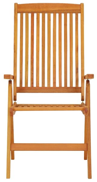 Skládací židle 2 ks, masivní dřevo, eukalyptus 316069