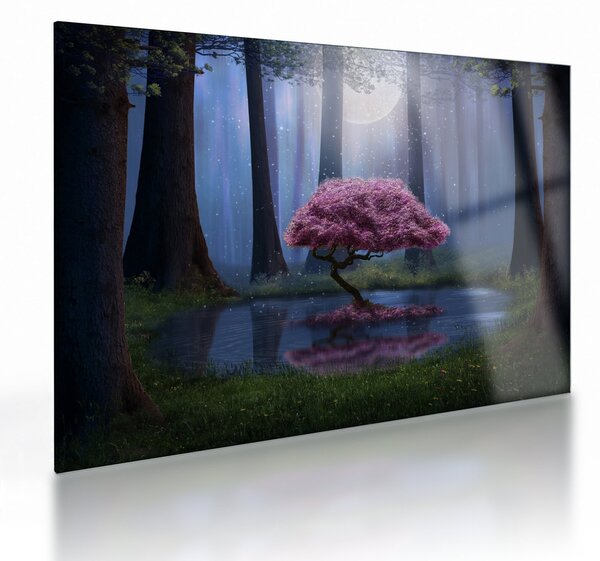 Skleněný obraz - Magická noc (70x50 cm)