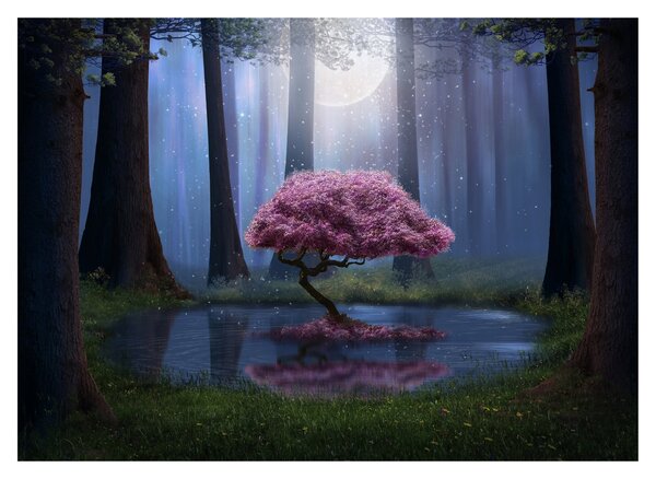 Skleněný obraz - Magická noc (70x50 cm)