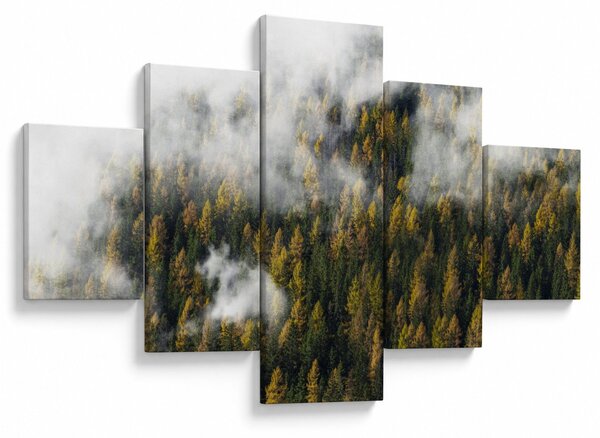 Obraz lesa v mracích (125x70 cm)