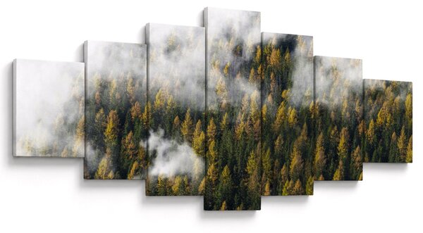 Obraz lesa v mracích (210x100 cm)