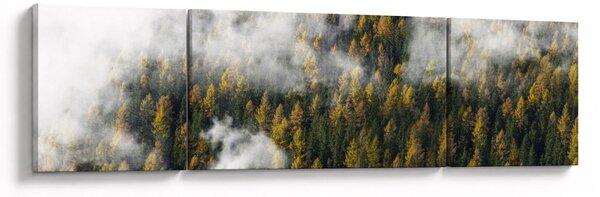 Obraz lesa v mracích (170x50 cm)