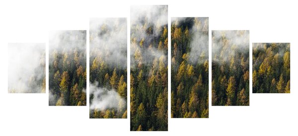 Obraz lesa v mracích (210x100 cm)