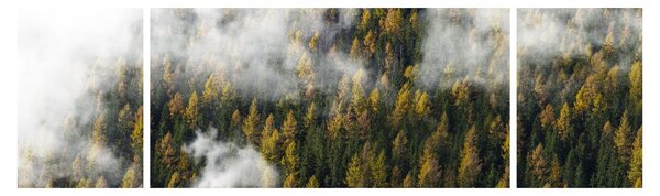 Obraz lesa v mracích (170x50 cm)