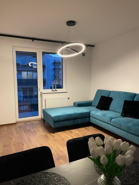 Redo Závěsné LED svítidlo Febe - 2 kruhy, ø80cm/ø60cm Barva: Černá, Teplota světla: 3000K - teplá bílá