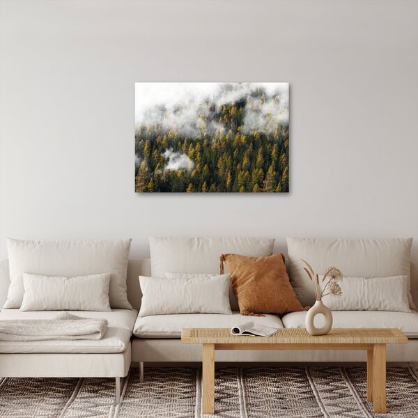 Obraz lesa v mracích (70x50 cm)