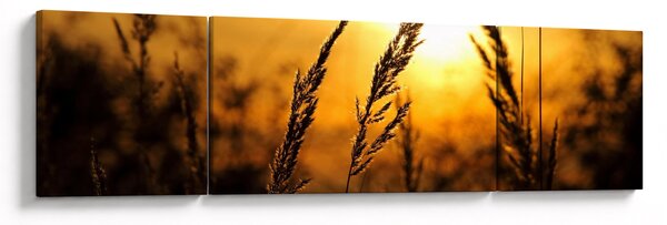 Obraz zapadajícího slunce (170x50 cm)