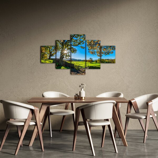 Obraz - Výhled na pole (125x70 cm)