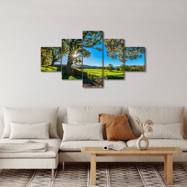 Obraz - Výhled na pole (125x70 cm)
