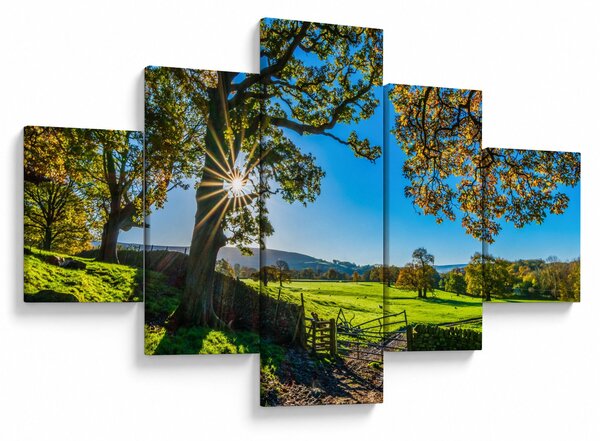 Obraz - Výhled na pole (125x70 cm)