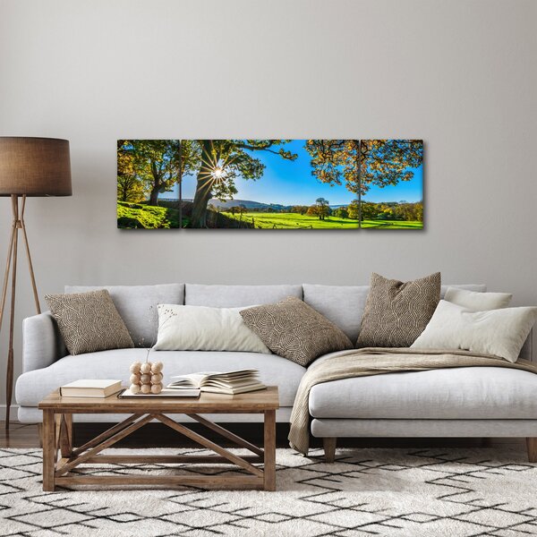 Obraz - Výhled na pole (170x50 cm)