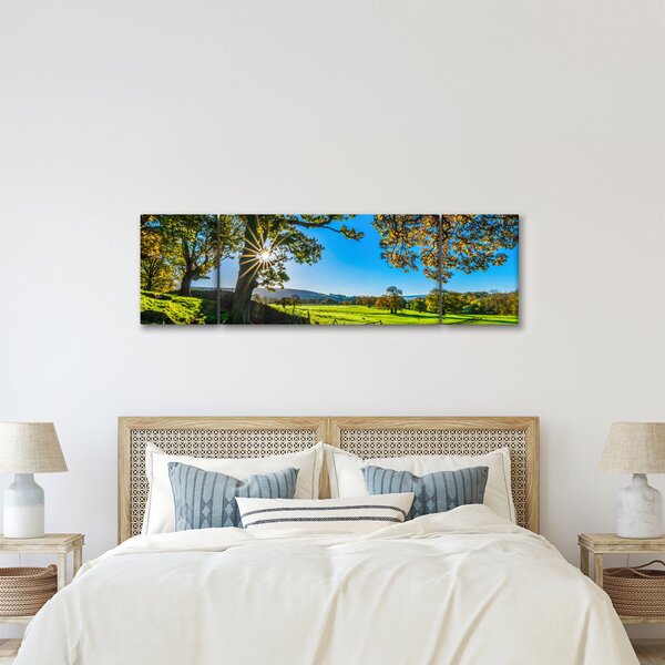 Obraz - Výhled na pole (170x50 cm)