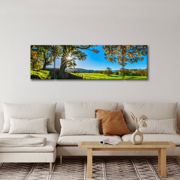 Obraz - Výhled na pole (170x50 cm)