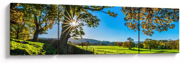 Obraz - Výhled na pole (170x50 cm)