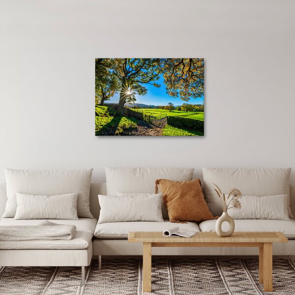 Obraz - Výhled na pole (70x50 cm)