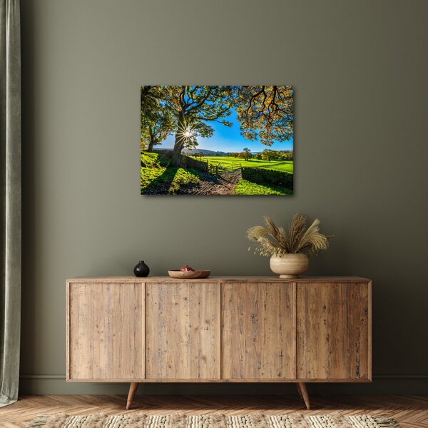 Obraz - Výhled na pole (70x50 cm)