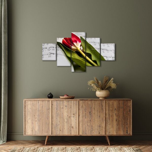 Obraz červeného tulipánu (125x70 cm)
