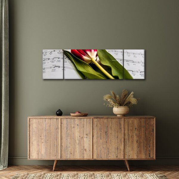Obraz červeného tulipánu (170x50 cm)