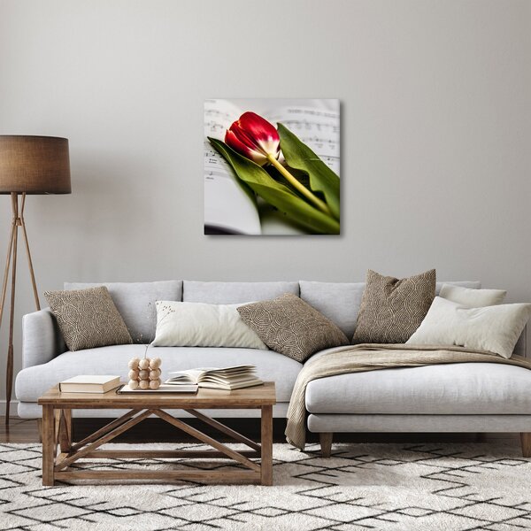 Obraz červeného tulipánu (30x30 cm)