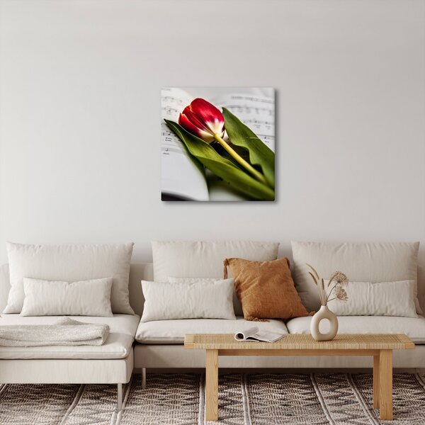 Obraz červeného tulipánu (30x30 cm)
