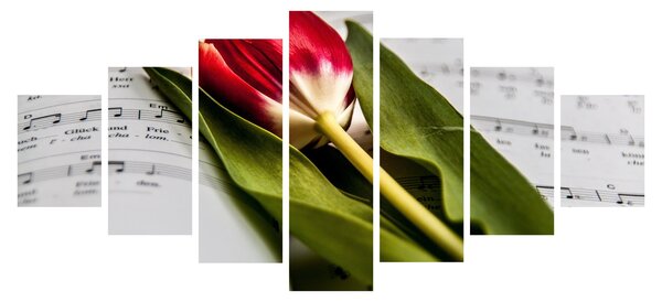 Obraz červeného tulipánu (210x100 cm)