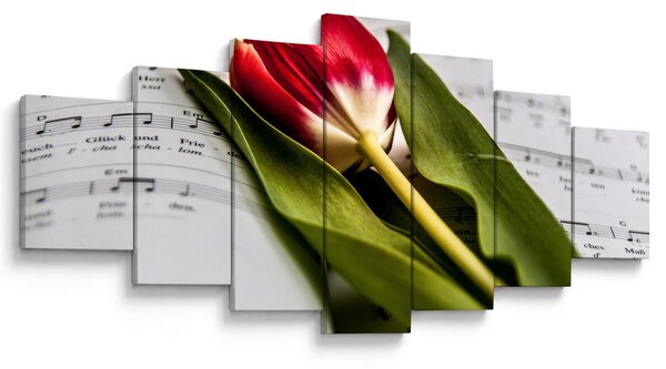 Obraz červeného tulipánu (210x100 cm)