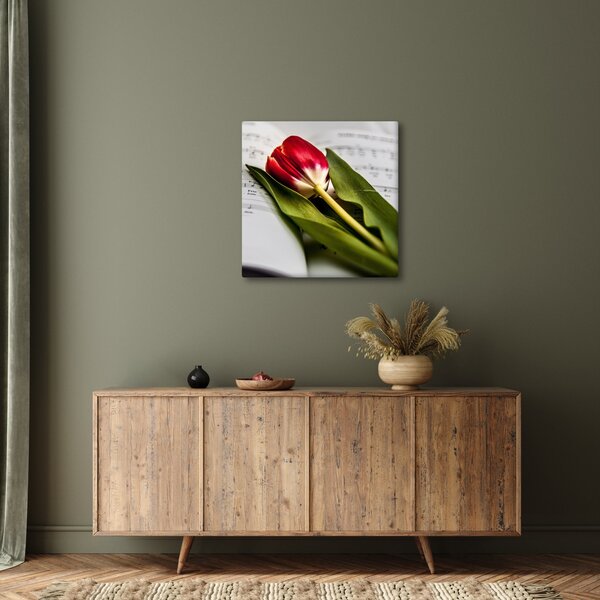 Obraz červeného tulipánu (30x30 cm)