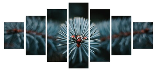 Obraz větvičky jehličnatého stromu (210x100 cm)
