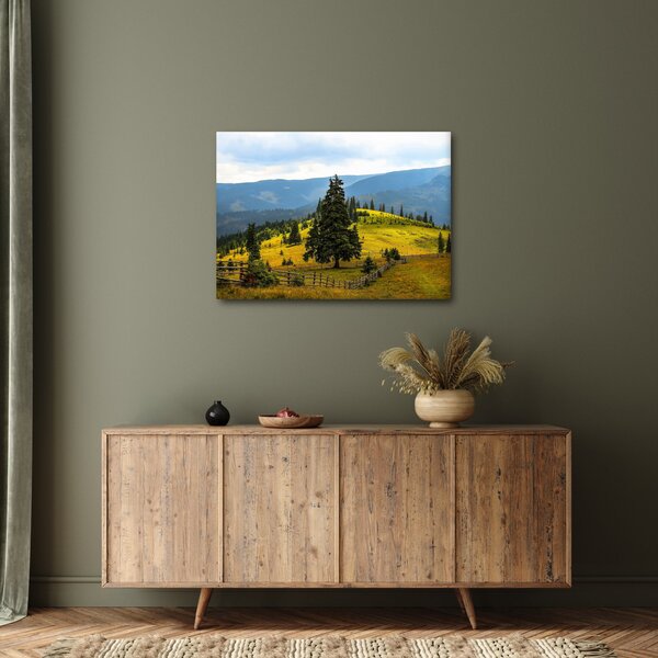 Obraz - Horská louka (70x50 cm)