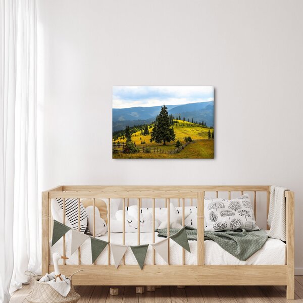Obraz - Horská louka (70x50 cm)