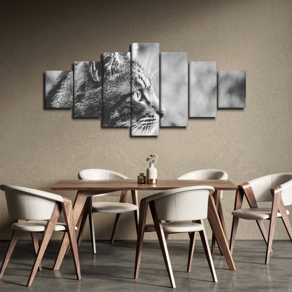 Obraz - Kočka (210x100 cm)