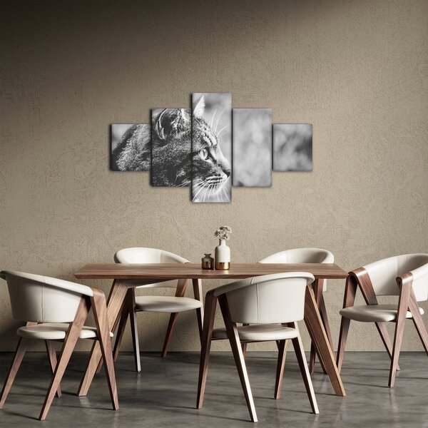 Obraz - Kočka (125x70 cm)