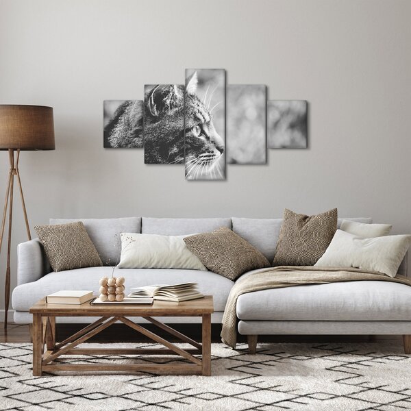 Obraz - Kočka (125x70 cm)