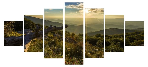 Obraz - Výhled do okolí (210x100 cm)