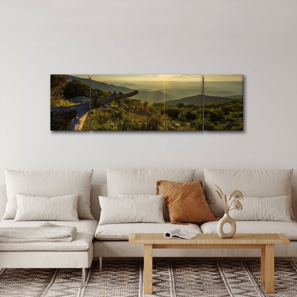 Obraz - Výhled do okolí (170x50 cm)