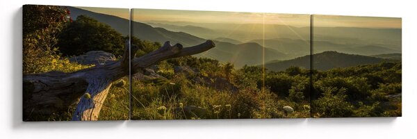 Obraz - Výhled do okolí (170x50 cm)