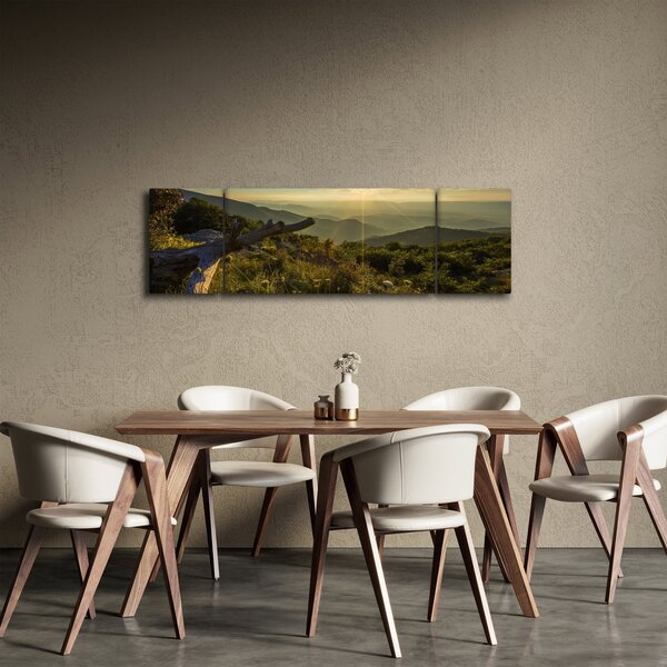 Obraz - Výhled do okolí (170x50 cm)