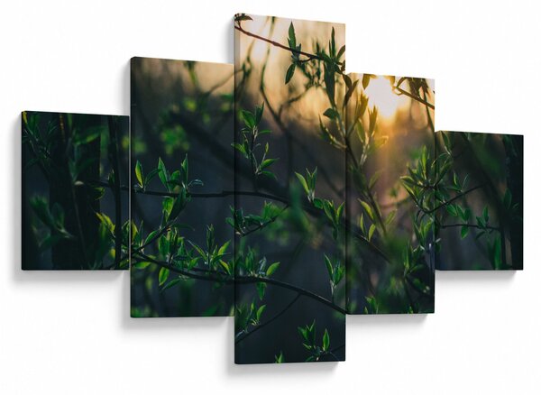Obraz prosvítajícího slunce skrz větvičky stromů (125x70 cm)