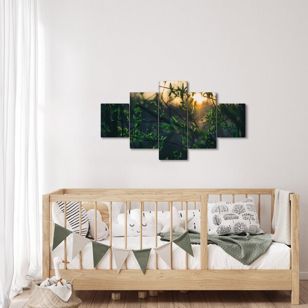 Obraz prosvítajícího slunce skrz větvičky stromů (125x70 cm)