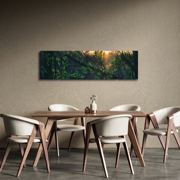 Obraz prosvítajícího slunce skrz větvičky stromů (170x50 cm)