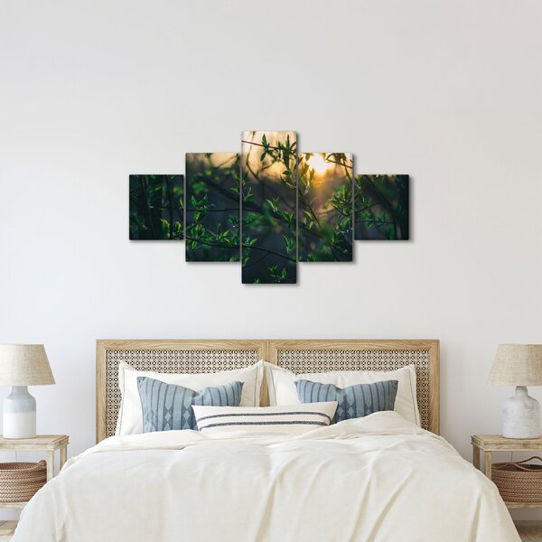 Obraz prosvítajícího slunce skrz větvičky stromů (125x70 cm)