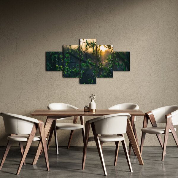 Obraz prosvítajícího slunce skrz větvičky stromů (125x70 cm)