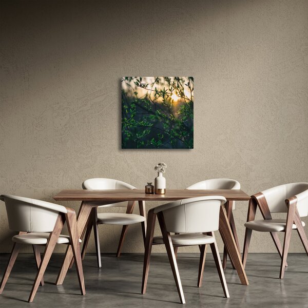 Obraz prosvítajícího slunce skrz větvičky stromů (30x30 cm)