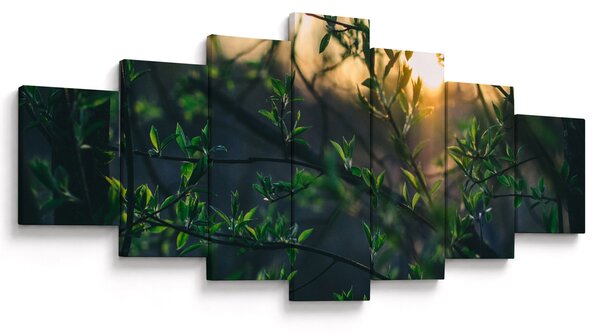 Obraz prosvítajícího slunce skrz větvičky stromů (210x100 cm)