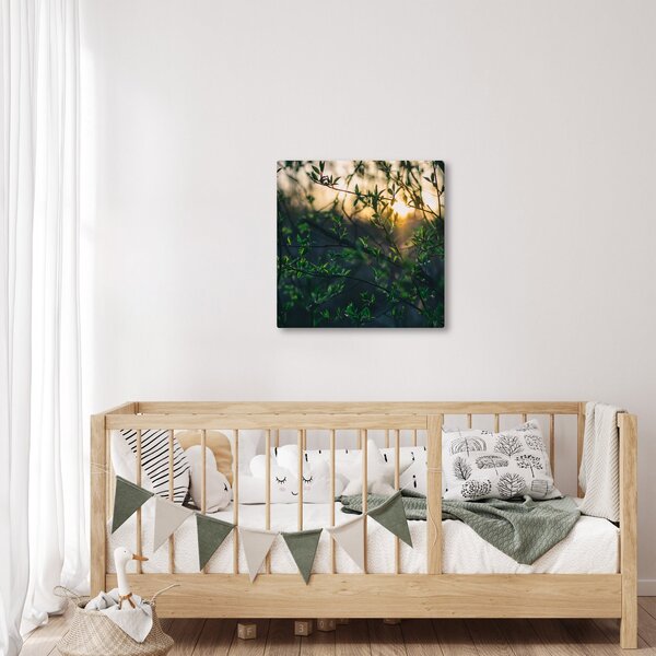 Obraz prosvítajícího slunce skrz větvičky stromů (30x30 cm)