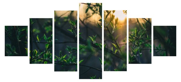 Obraz prosvítajícího slunce skrz větvičky stromů (210x100 cm)