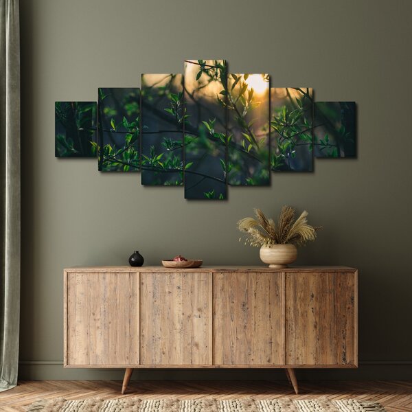 Obraz prosvítajícího slunce skrz větvičky stromů (210x100 cm)