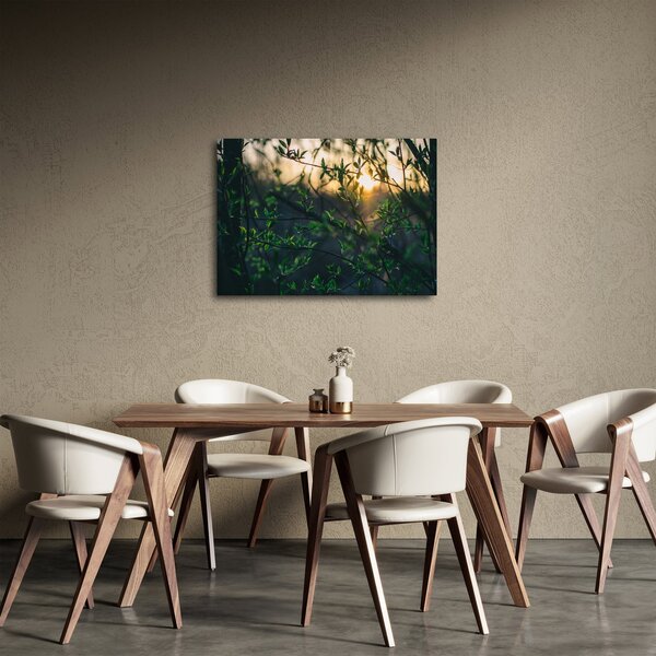 Obraz prosvítajícího slunce skrz větvičky stromů (70x50 cm)